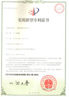 雙飛專利證書